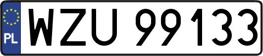 WZU99133