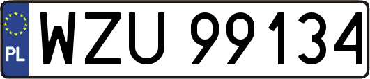 WZU99134