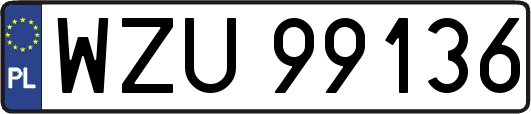 WZU99136