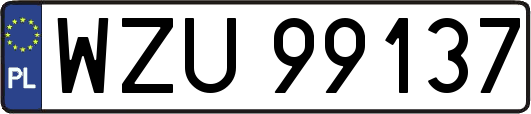 WZU99137