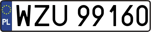 WZU99160