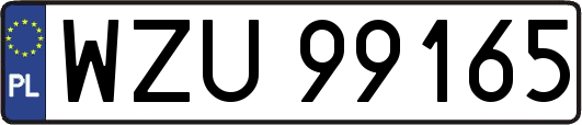 WZU99165