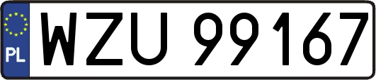 WZU99167