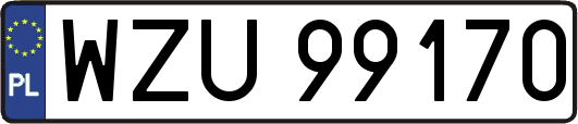WZU99170