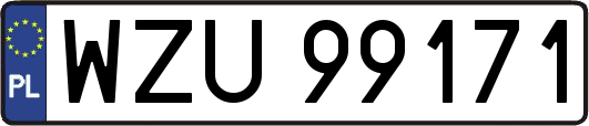 WZU99171