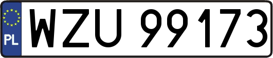 WZU99173