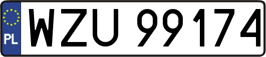 WZU99174