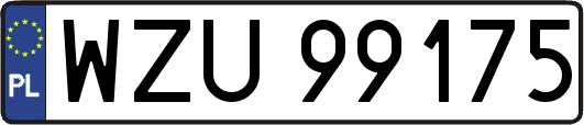WZU99175