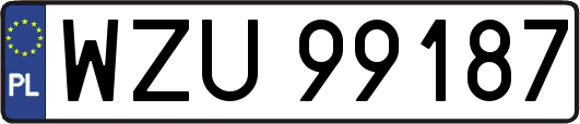 WZU99187