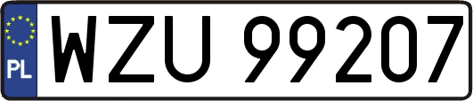 WZU99207