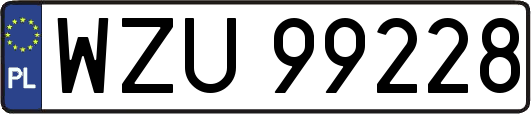 WZU99228