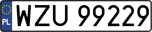 WZU99229