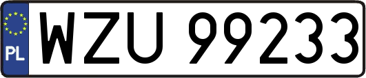 WZU99233