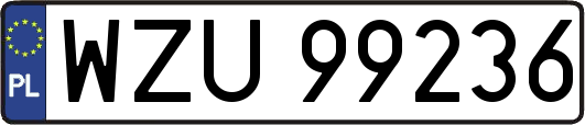 WZU99236