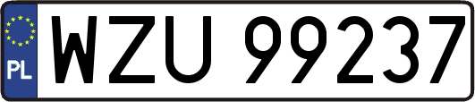 WZU99237
