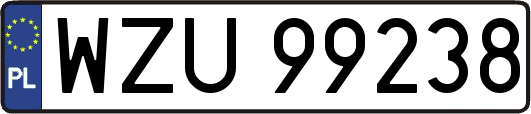 WZU99238