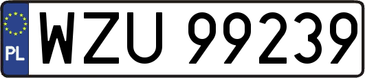 WZU99239