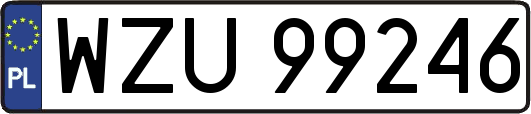 WZU99246