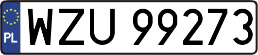 WZU99273