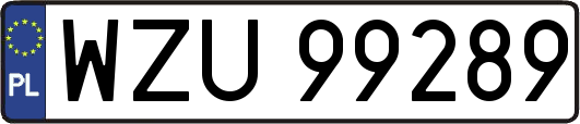 WZU99289