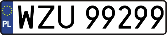 WZU99299