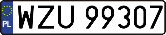 WZU99307