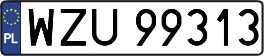 WZU99313