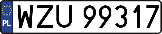 WZU99317