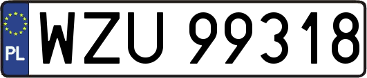 WZU99318