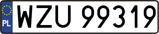 WZU99319