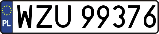 WZU99376