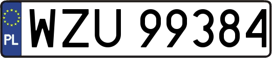 WZU99384