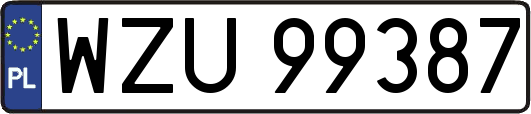 WZU99387