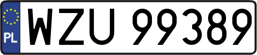 WZU99389