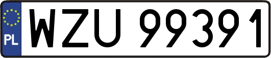 WZU99391
