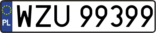WZU99399