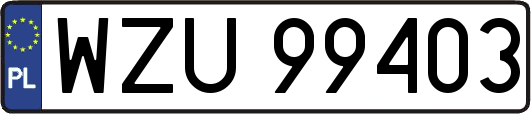 WZU99403