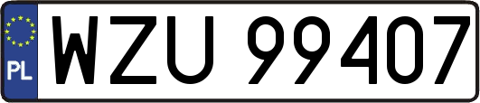WZU99407