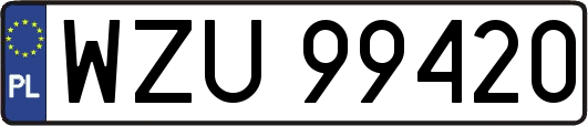 WZU99420