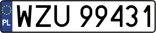 WZU99431
