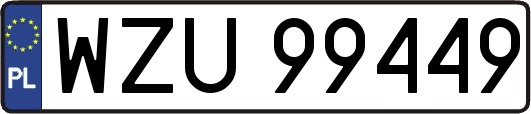 WZU99449