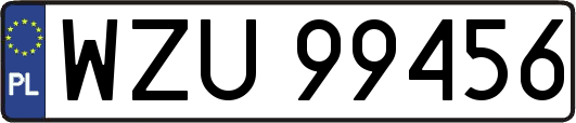 WZU99456