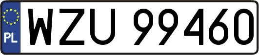 WZU99460