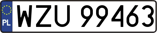 WZU99463