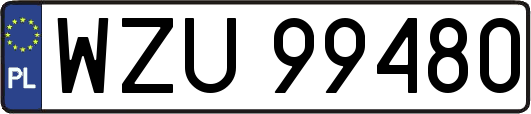 WZU99480
