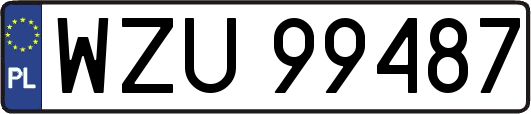 WZU99487