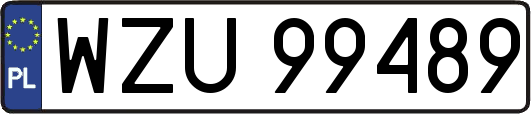 WZU99489
