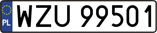 WZU99501