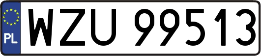 WZU99513