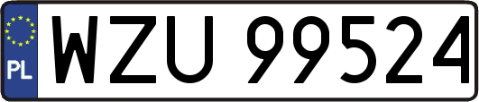 WZU99524